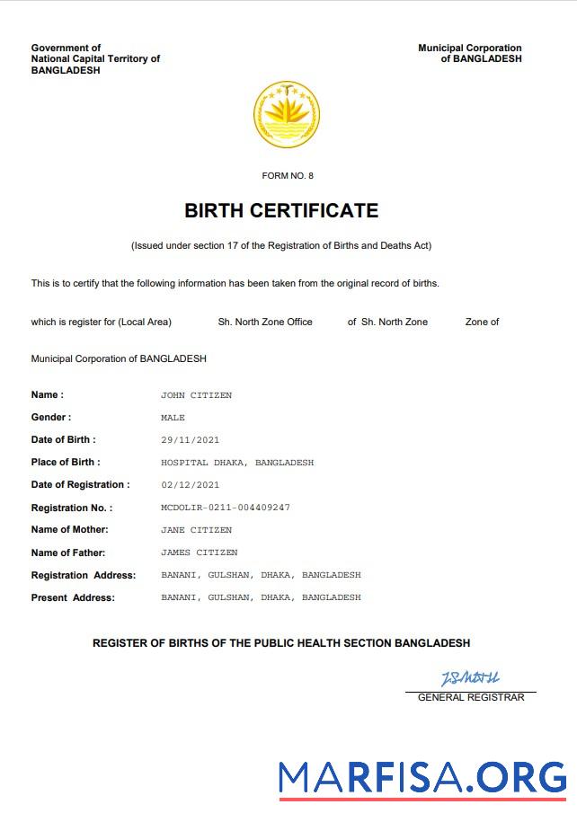 Printable Bangladesh vital record birth certificate Word and PDF template